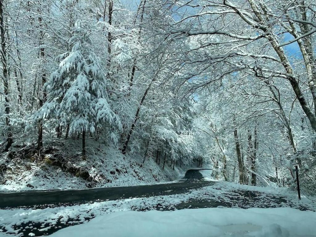 Cabin With Treehouse Views, 3 King Beds, 4 Bunks, And Large Hot Tub! Gatlinburg Luaran gambar